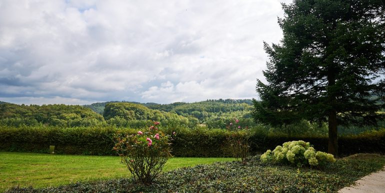 Ausblick auf Wald und Wiesen