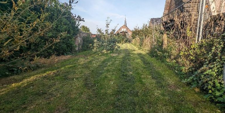 kleine Wiese zum Alleenradweg